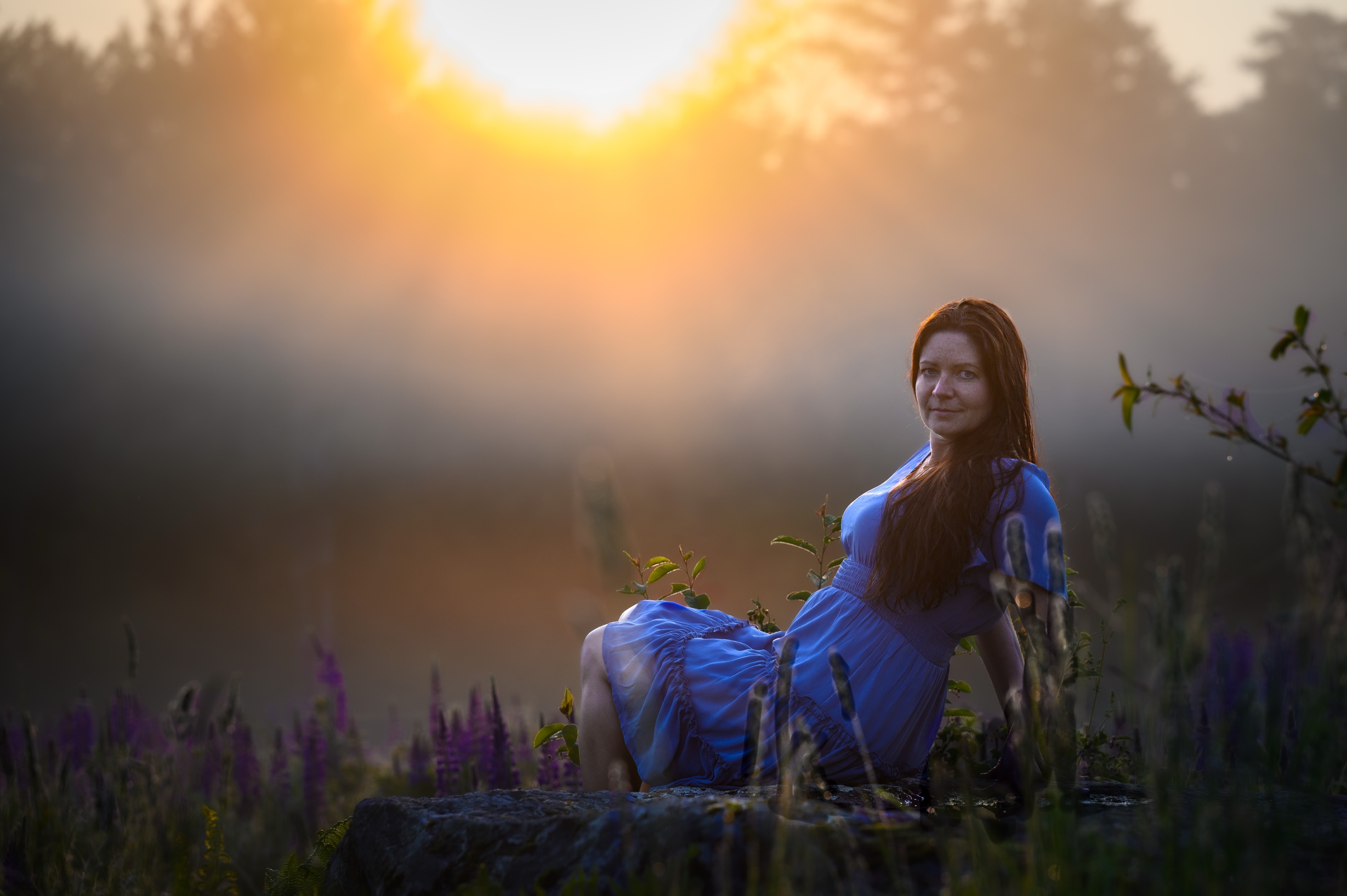 Woman in a blue dress sitting on a rock in a misty field of lupine flowers, backlit by sunrise