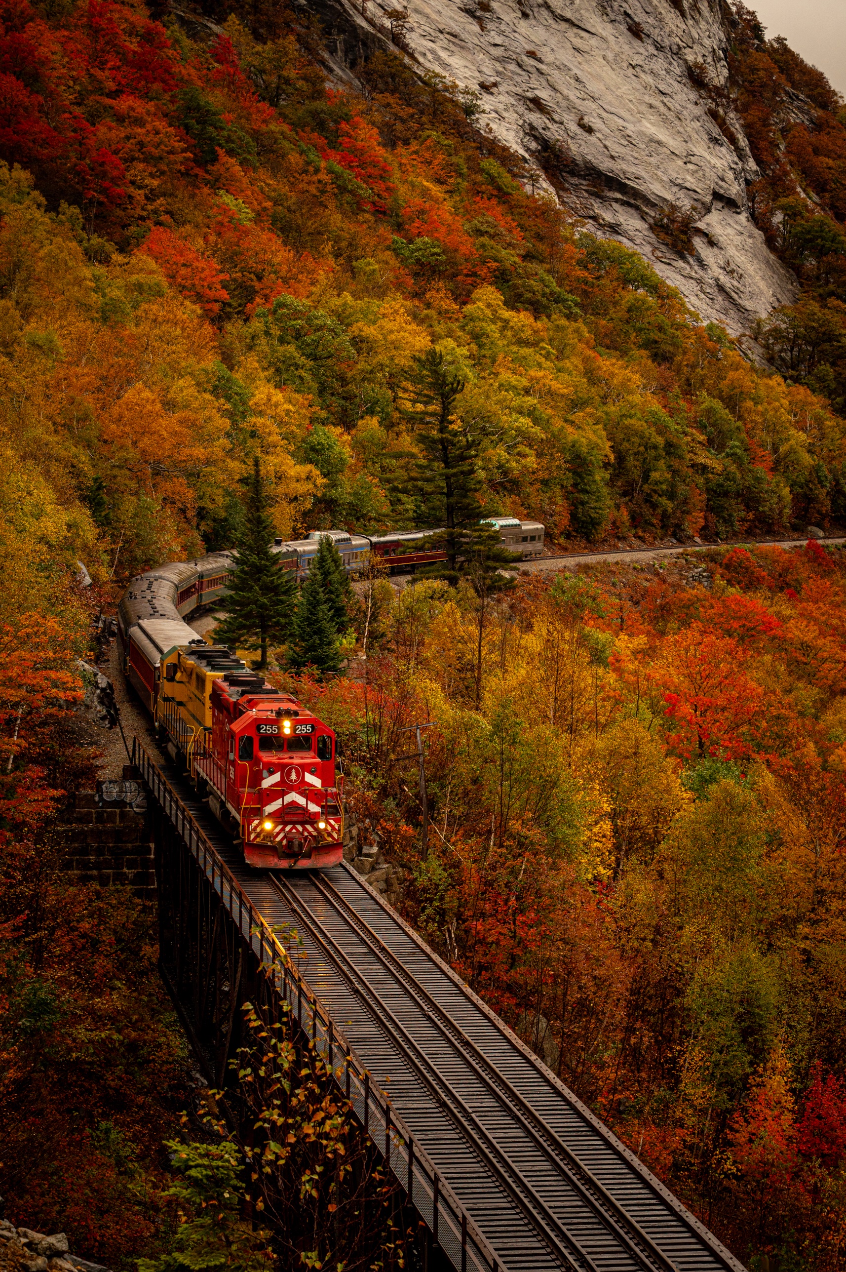The Conway Scenic Railroad engine crossing a trestle through fall color in Crawford Notch, New Hampshire