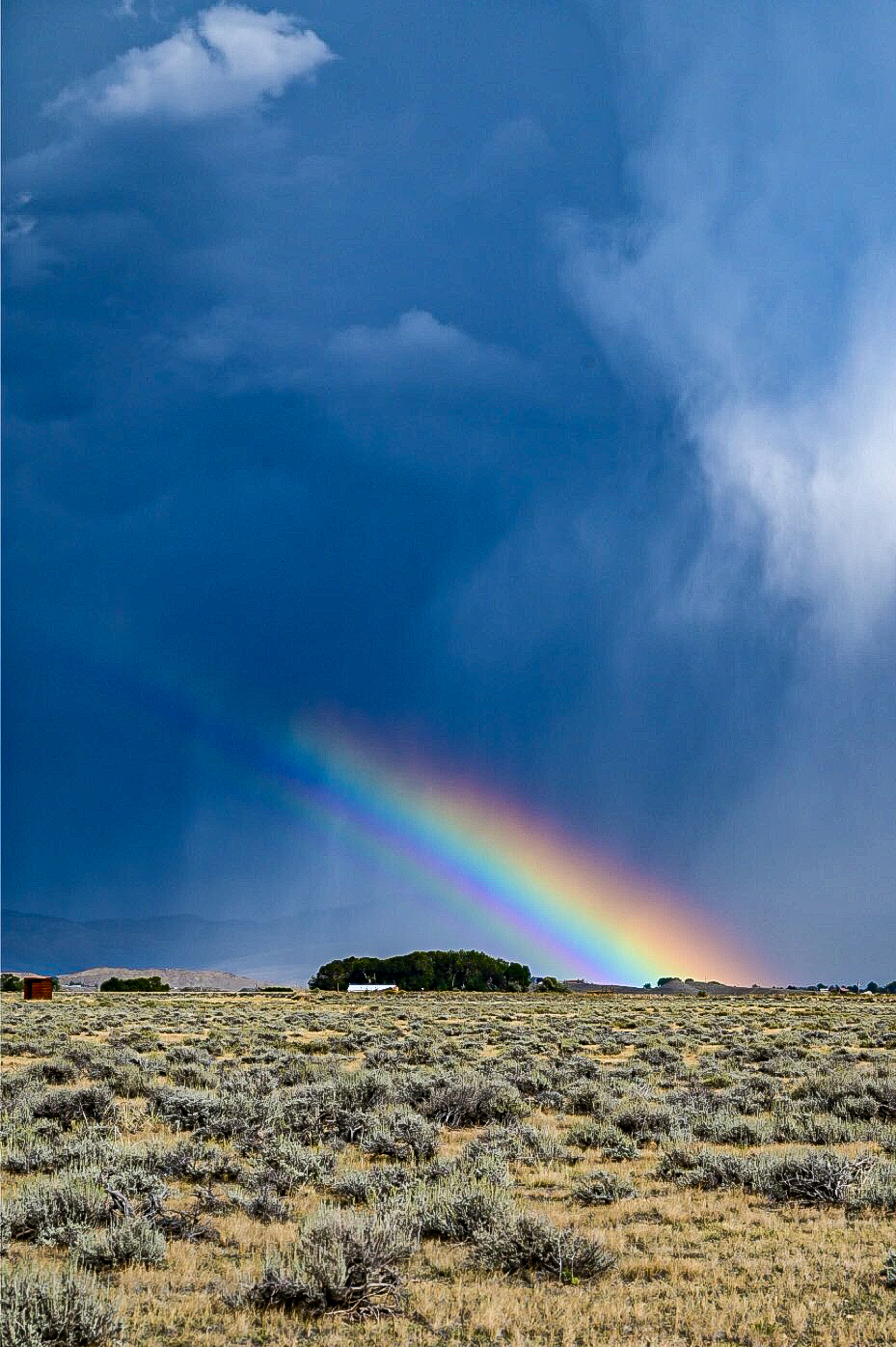 A vivid rainbow dropping into a field near Cody, Wyoming, beneath a storm